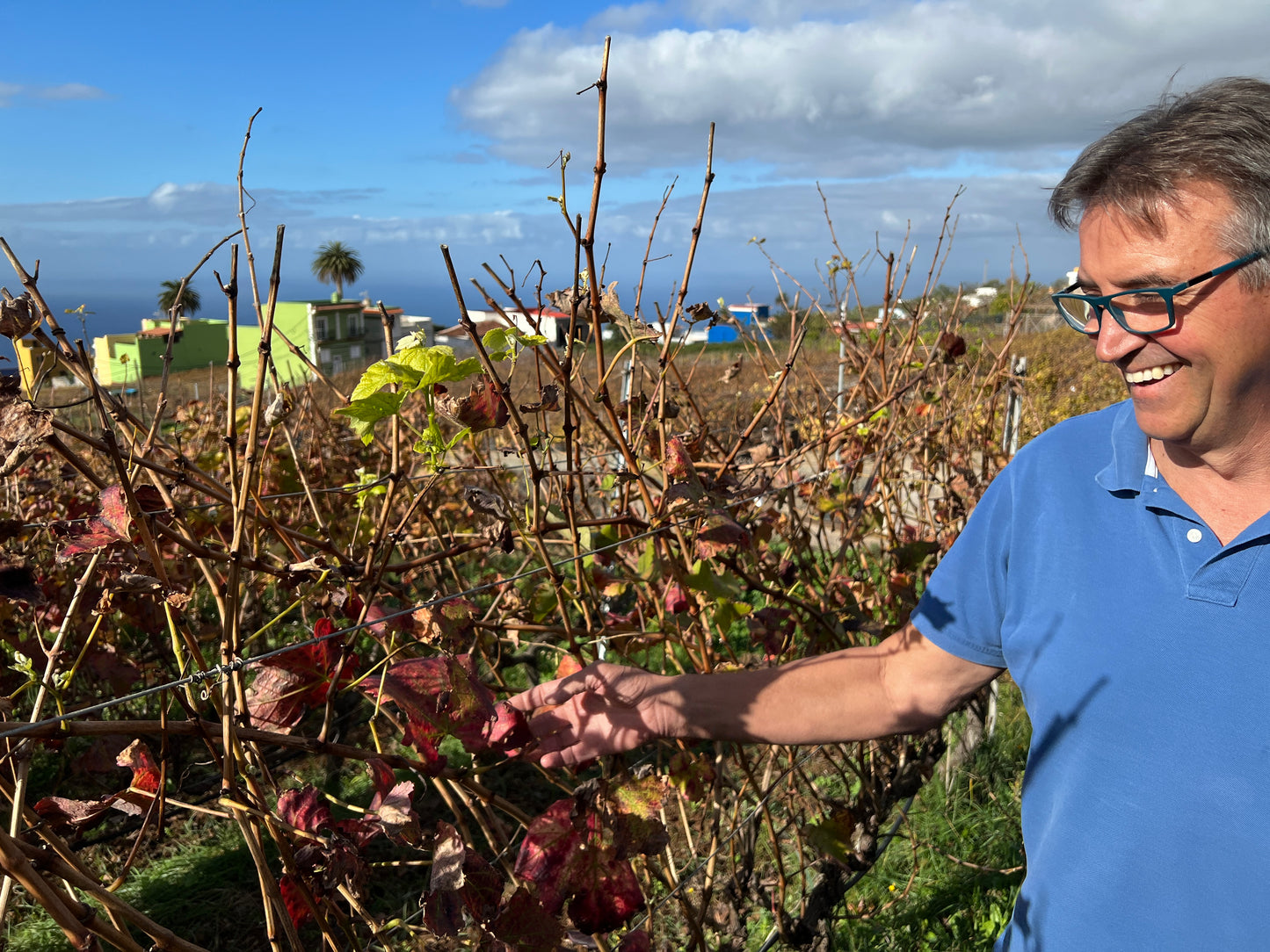 Viña Estevez Tinto barrica